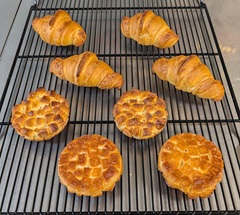 PXL_20251211_012248175