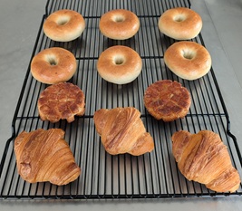 PXL_20251223_050134129