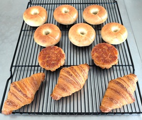 PXL_20260114_042043222