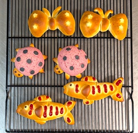 PXL_20260127_085546627